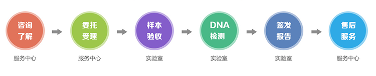 辽宁隐私亲子鉴定流程